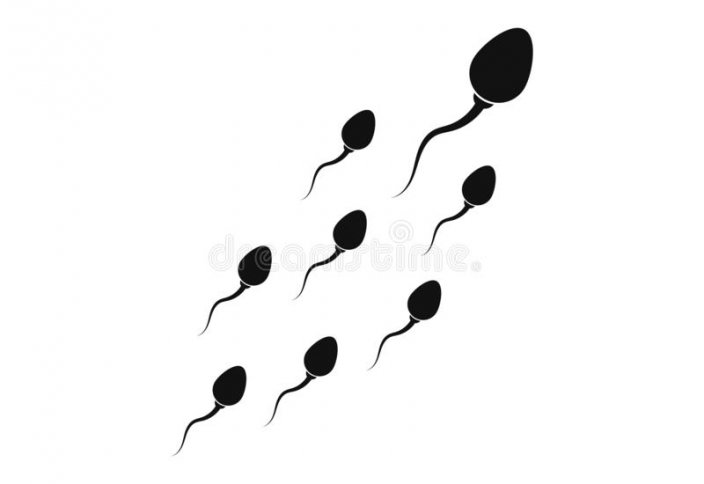 Сперматозоидтардың неліктен ирелеңдеп қозғалатыны белгілі болды (видео)