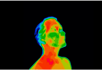 Жылуды істеп шығаратын арнайы ағза болмаса да денеміз жылуды қалай істеп шығады