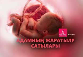 Адамның жаратылу сатылары