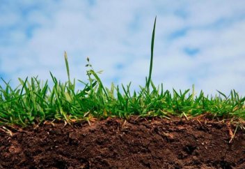 10 жылда қосымша 50 млн гектар жайылымдық жер айналымға тартылады