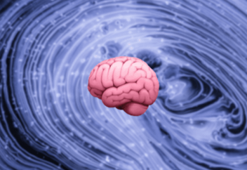 Сана мидан бөлек