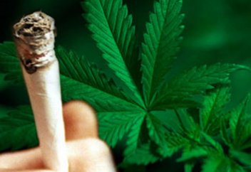 Легализация наркотиков в Египте – дебаты полным ходом