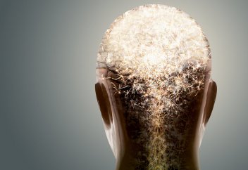 Адам денесі секундына қанша млн жасуша істеп шығарады