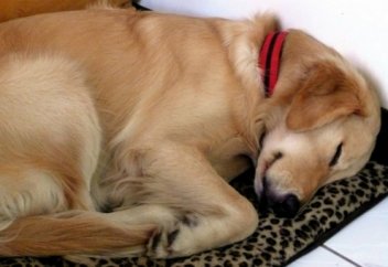 Можно мне тоже прийти с ним завтра?