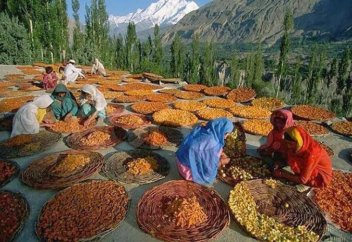 Мусульманская народность, члены которой доживают до 120 лет и почти никогда не болеют