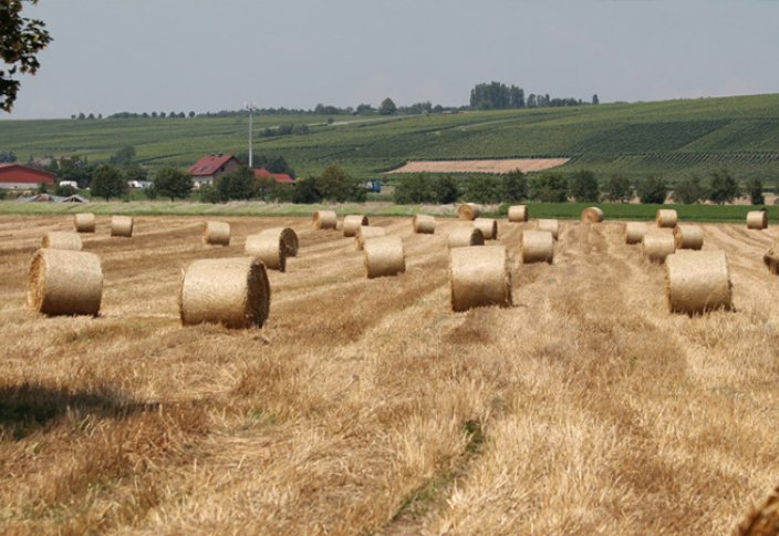 Түркия әлемдегі ең ірі 7 аграрлық мемлекет қатарына кірді