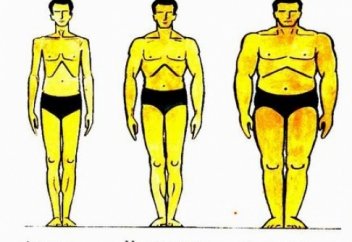 Кесте: Бойыңыз бен салмағыңыздың сәйкестігі қалай болу керек?