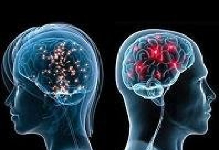 Ученые нашли в мозге мужчин и женщин новые различия
