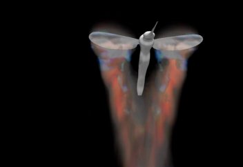 Биоинженерлер маса секілді ұшатын дрон құрастырды (видео)