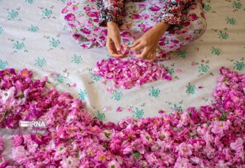 Жыл сайын Ираннан 36 елге 2 миллион литр раушан суы экспортталады