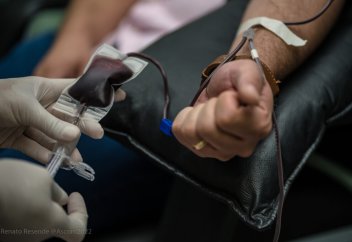 Марокканское агентство крови подтверждает достаточные запасы и продолжающиеся усилия по донорству