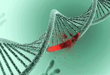 Тұқым қуалайтын қатерлі ісік анықталды. Қатерлі ісікке шалдықтыратын жаңа 58 мутация табылды. Алайда, олардың пайда болу себебі белгісіз