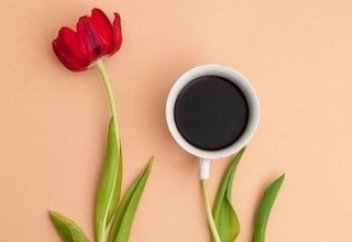 СӘРЕСІН ІШУДІҢ 8 ПАЙДАСЫ: