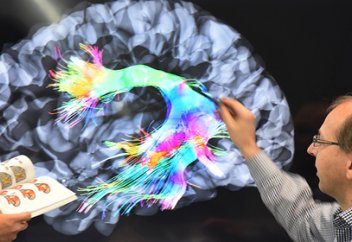 Найден способ стирать плохие воспоминания