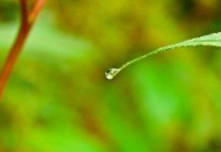 Тамшылатып суару әдісінің артықшылықтары қандай?