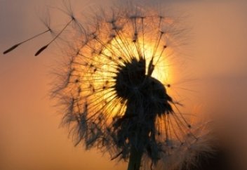 Лекарство, которое называется... | Ислам Sound