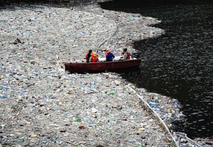 Новый континент из мусора обнаружили в Тихом океане (фото)