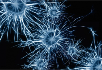 Тері обырына қарсы екпенің тиімділігі 4 жыл сақталды