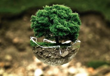 Разное: Китай и Индия сажают больше лесов и полей: почему это плохо?