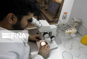 Ежегодно в международных журналах печатается 67 тысяч научных статей иранских авторов