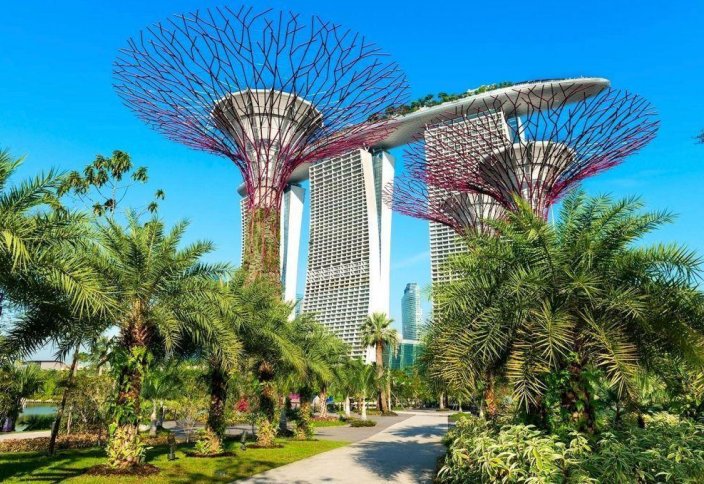 Уникальные сады в Сингапуре (фото+видео)