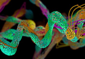 Жасанды ген тізбегін жасаудың жаңа тәсілі пайда болды