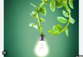 ШЫМКЕНТТІК ҒАЛЫМДАР ӨСІМДІКТЕН ЭНЕРГИЯ ӨНДІРЕ БАСТАДЫ