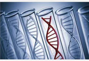 Ресейде күдіктілердің ДНҚ-сын міндетті тіркеу туралы заң қабылданды