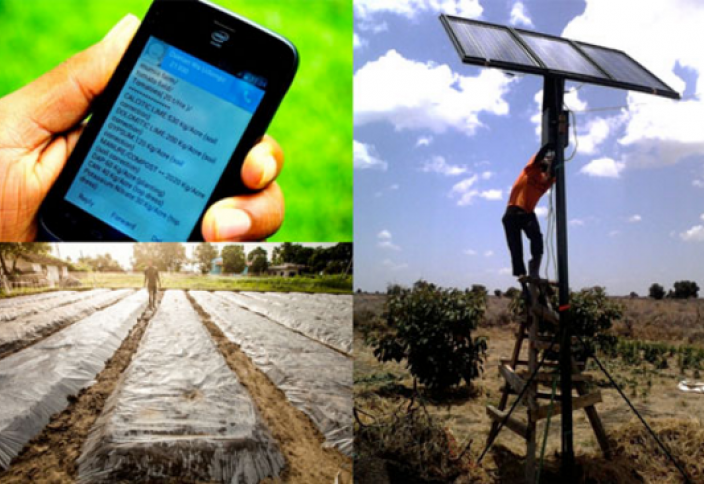 Какой бизнес выгоден на селе