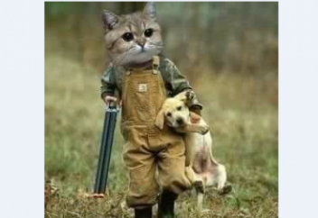 Самоуважение не эгоизм, высокомерие или превосходство