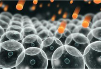 Организмдегі бос радикалдарды азайту әдісі табылды