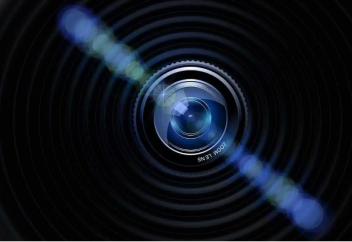 Табиғатта өте сирек кездесетін құс таспаға тартылып қалды (видео)