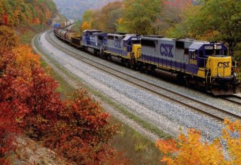 Теміржолды жапырақтардан тазарту үшін лазер пайдаланылады