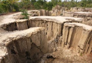 Адамзаттың 4/1 жер шөгетін аймақтарда тұрады