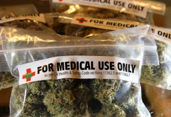 Израиль вознамерился стать экспортером марихуаны