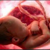 4D ультрадыбыстық зерттеу адамның құрсақтағы кезінен бастап дәм мен иісті ажырата алатынын көрсетті (фото)