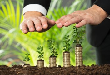 Можно ли владельцу компании брать деньги из бизнеса на личные нужды?