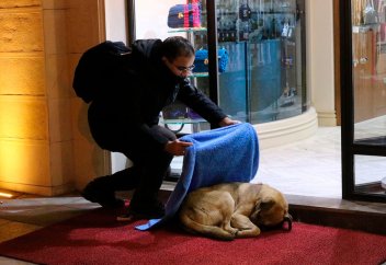 Как мусульманин по вечерам спасает бродячих собак и кошек