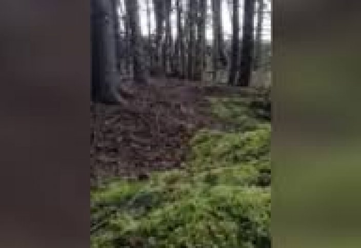 "Тыныс алып жатқан" жерді тамашалағандар қарасы артып келеді (видео)