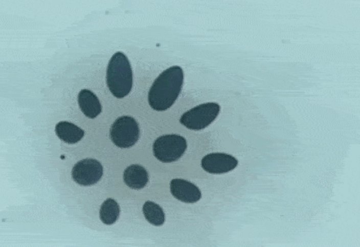 Тамшы роботтар саңылаудан өтуі үшін ұсақ бөлшектерге бөлінеді (видео)
