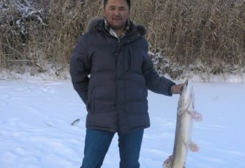 Ой мен шортан