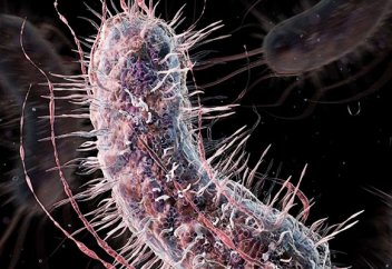 Новая синтетика. Биологи приблизились к созданию искусственных форм жизни