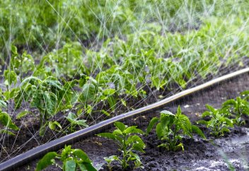 Казахстан 30 лет пугают дефицитом воды: насколько вероятен плохой исход и что здесь не так