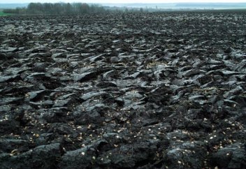 Қара топырақ заңмен қорғалады