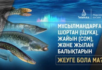 Шортан (щука), жайын (сом) және жылан балықтарын жеуге бола ма?