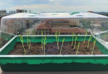 Өз-өзін суғаратын топырақ жасалды (инфографика)