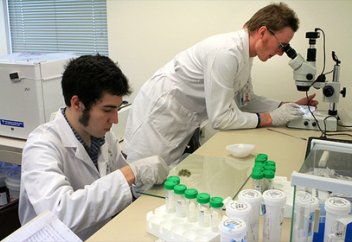 Американские ученые создали суперантибиотик