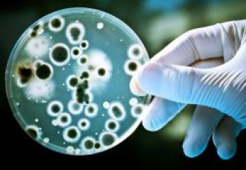 Тырысқақ індетіне шалдыққандар қарасы 1 млн-нан асып барады