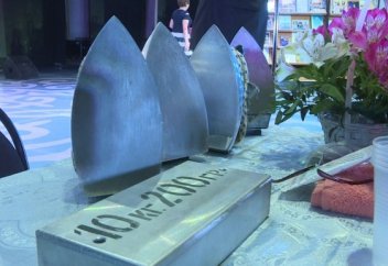 Женщина-магнит из Уральска хочет попасть в Книгу рекордов Гиннесса (фото+видео)