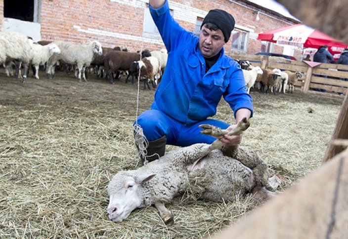 Татарстан и Башкортостан будут отдыхать на Ураза-байрам